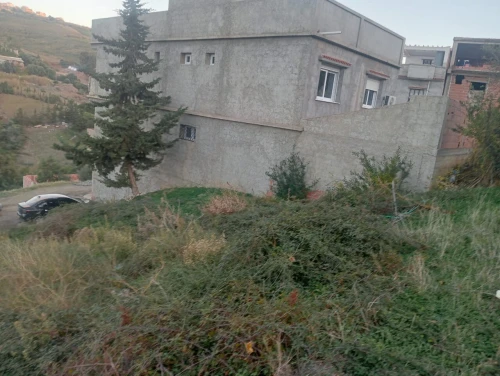 Vente Terrain Tipaza Cherchell