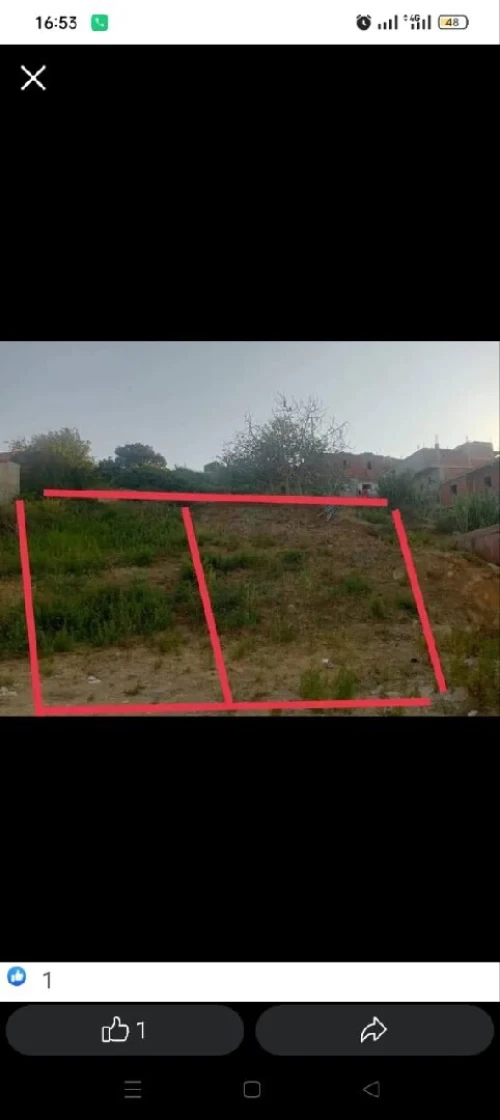 Vente Terrain Tipaza Cherchell