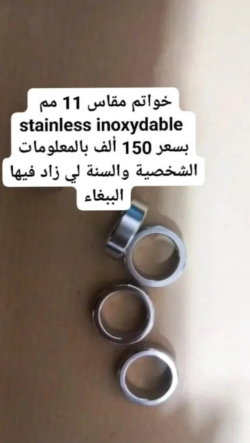 Bague stainless inoxydable personnalisé pour perroquet