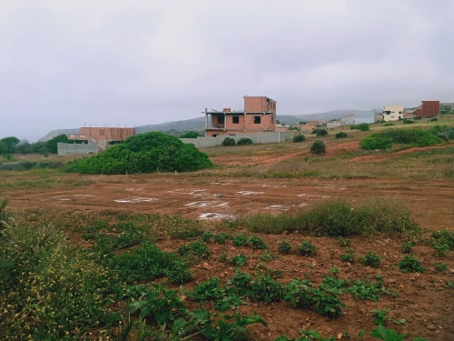 Vente Terrain Tlemcen Honaine