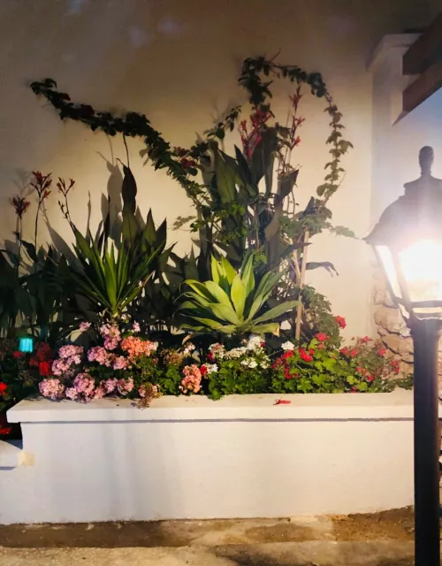 Location vacances Bungalow F3 Aïn Témouchent Bou zedjar