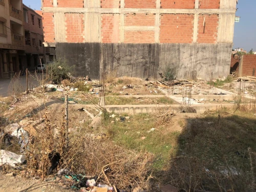 Vente Terrain Blida Bougara