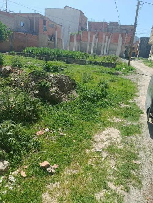 Vente Terrain Blida Ouled selama