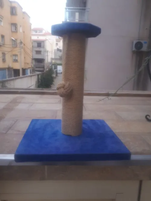 Grattoir pour chat