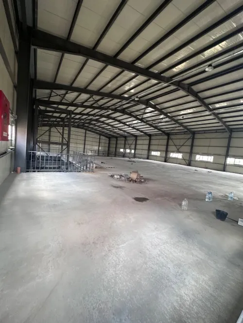 Location Hangar Alger Saoula