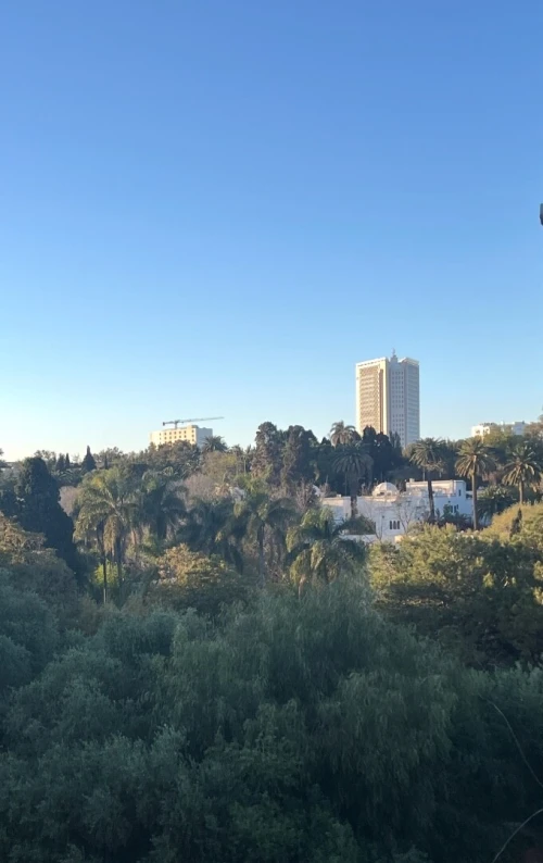 Location Appartement F3 Alger Ben aknoun