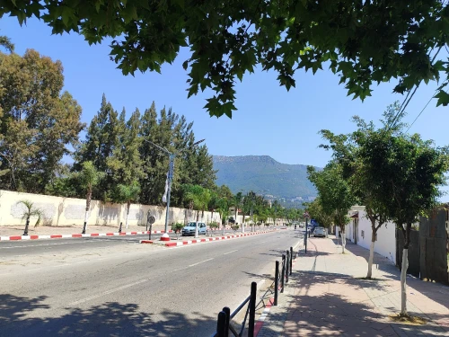 Location Local Béjaïa Bejaia