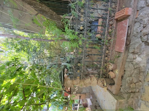 Location Villa Alger Hydra