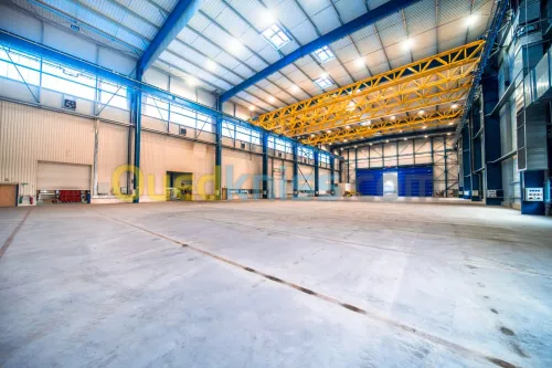 Location Hangar Alger Birtouta