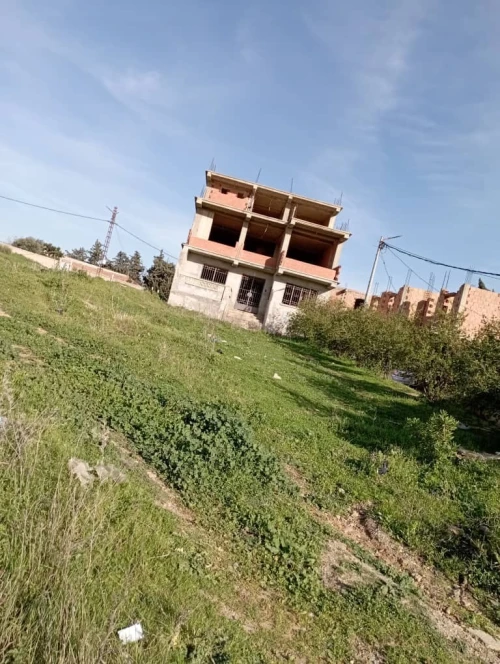Vente Carcasse Boumerdès Larbatache
