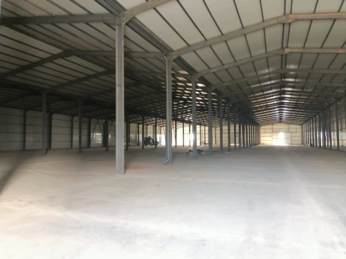 Location Hangar Alger Les eucalyptus