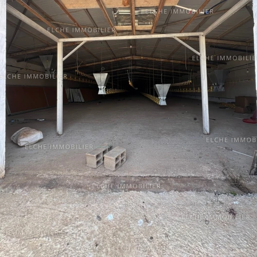 Vente Terrain Agricole Oran Bethioua