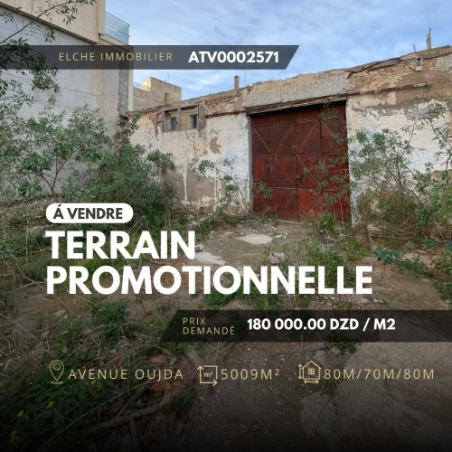 Vente Terrain Oran Oran