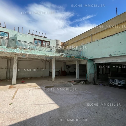 Vente Terrain Oran Oran