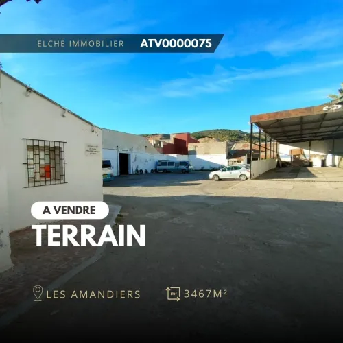 Vente Terrain Oran Oran