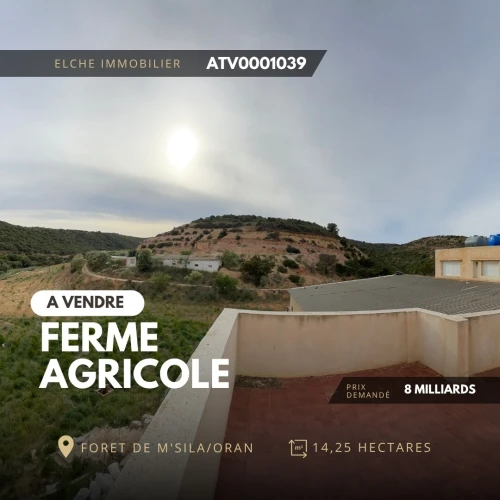 Vente Terrain Oran Misseghine