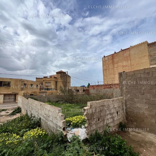 Vente Terrain Oran Ain el turck