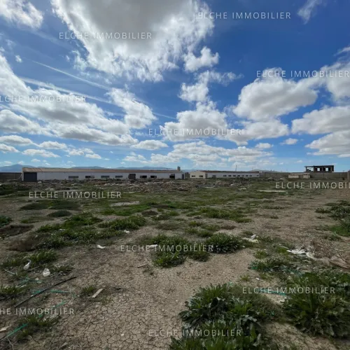 Vente Terrain Oran Tafraoui