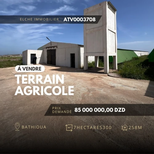 Vente Terrain Agricole Oran Bethioua