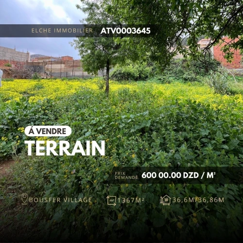 Vente Terrain Oran Ain el turck