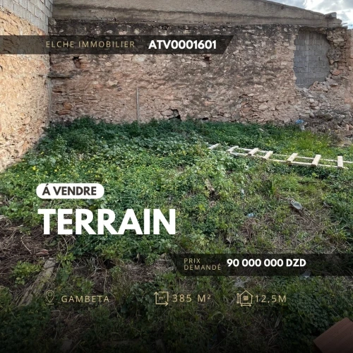 Vente Terrain Oran Oran