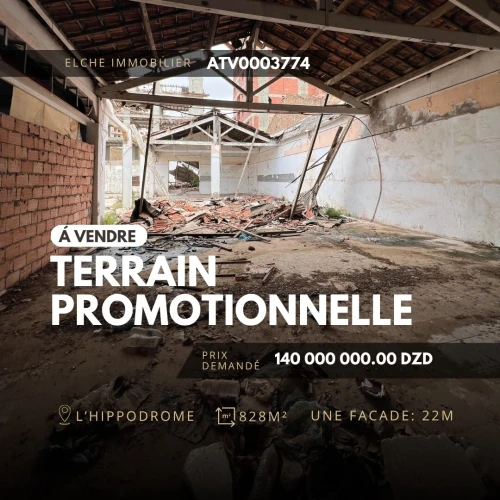Vente Terrain Oran Oran