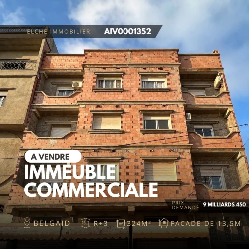 Vente Immeuble Oran Bir el djir