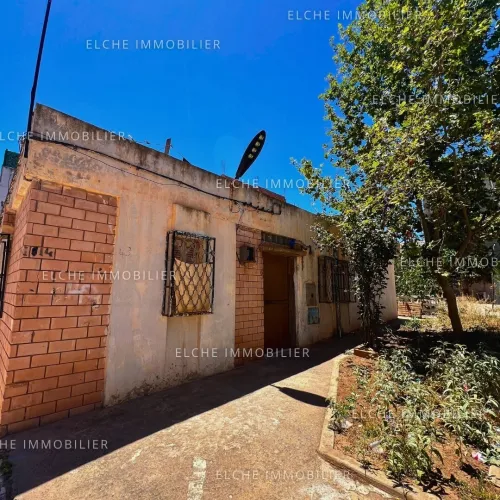 Vente Terrain Oran Bir el djir