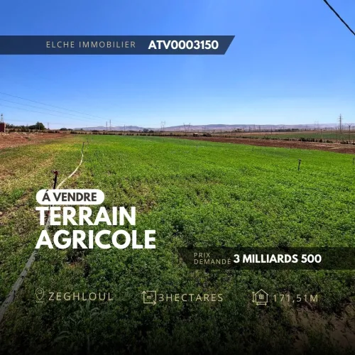 Vente Terrain Oran Oran