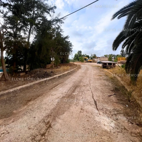 Vente Terrain Oran Oran
