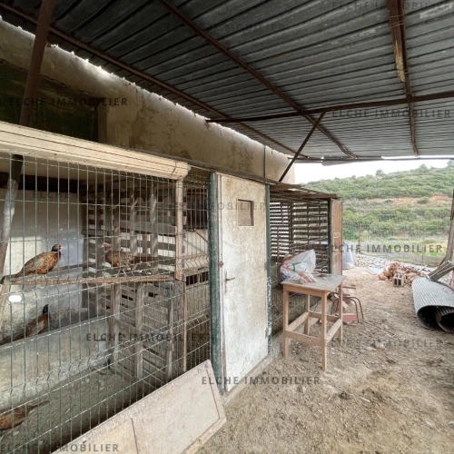 Vente Terrain Oran Misseghine