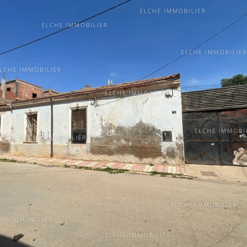 Vente Terrain Oran Boutlelis