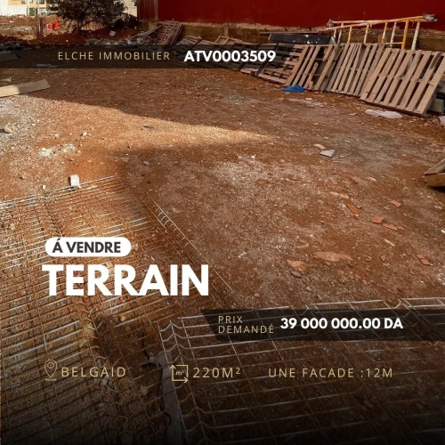 Vente Terrain Oran Bir el djir