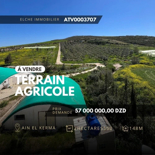 Vente Terrain Agricole Oran Ain el kerma