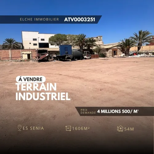 Vente Terrain Oran Es senia