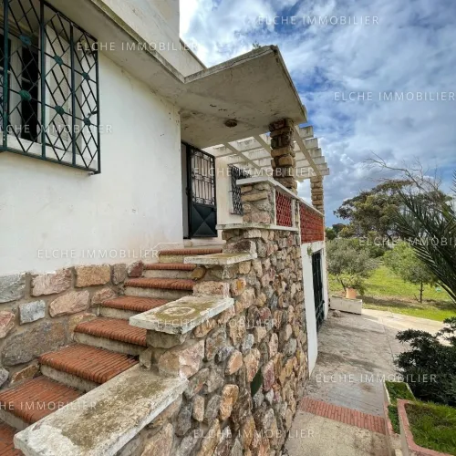 Vente Terrain Oran Bethioua