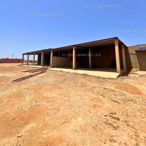 Vente Terrain Oran Oued tlelat