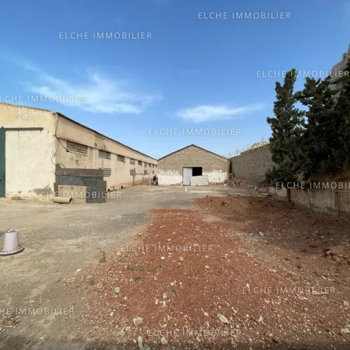 Vente Terrain Oran Sidi chami