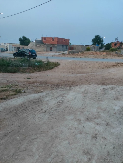 Vente Terrain Tlemcen Msirda fouaga