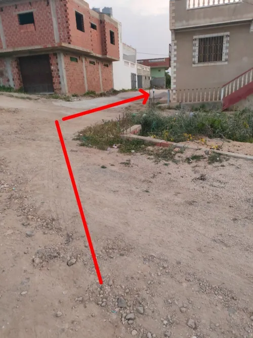 Vente Terrain Tlemcen Msirda fouaga