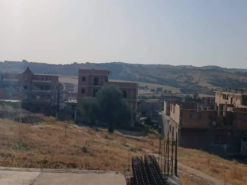 Vente Terrain Skikda Sidi mezghiche