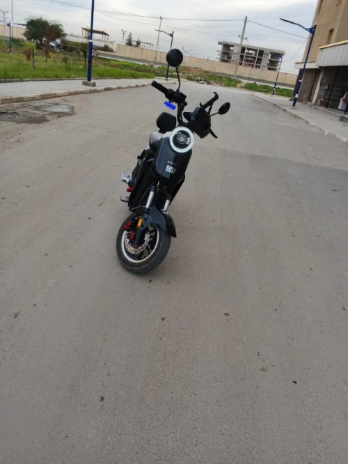 NUI MIMO 2025