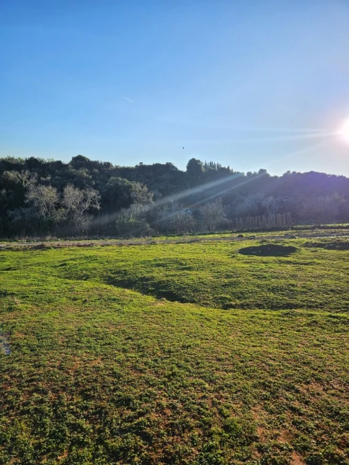 Vente Terrain Agricole Tipaza Tipaza