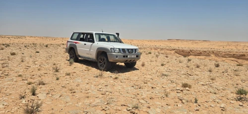 Nissan Patrol 2010 4800 vtc