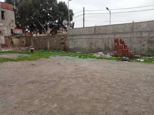 Location Terrain Alger Bordj el kiffan