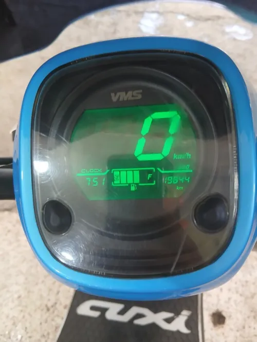 Vms Estate 2022