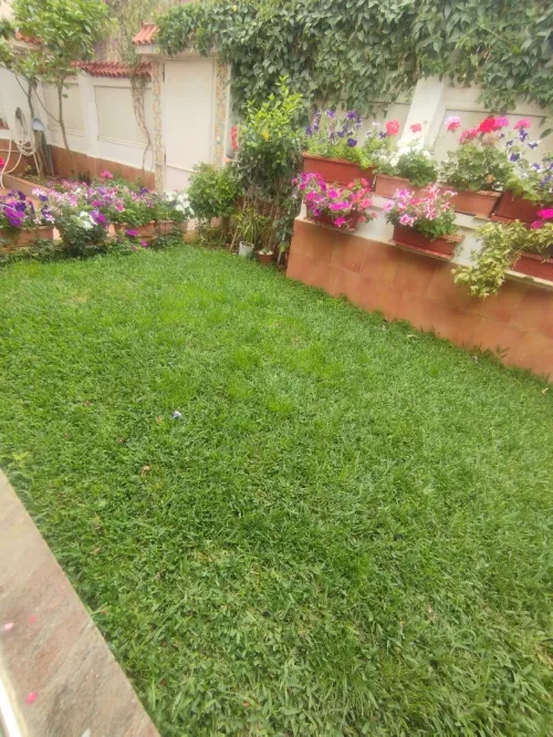 Vente Villa Tipaza Douaouda