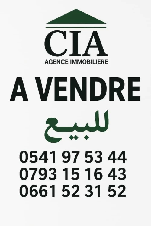 Vente Immeuble Alger Hussein dey