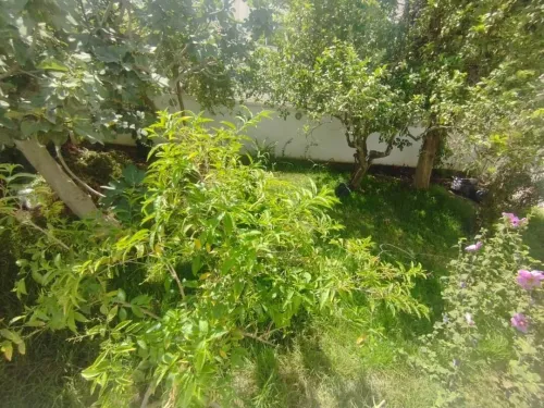 Location Villa Alger Hydra