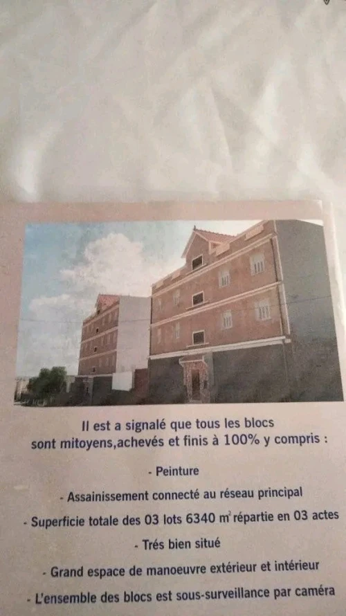 Vente Hangar Aïn Témouchent Ain temouchent